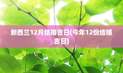 新西兰12月结婚吉日(今年12份结婚吉日)