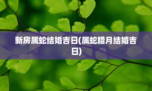 新房属蛇结婚吉日(属蛇腊月结婚吉日)