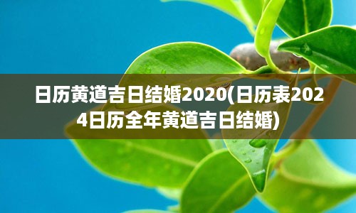 日历黄道吉日结婚2020(日历表2024日历全年黄道吉日结婚)