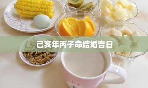 己亥年丙子命结婚吉日