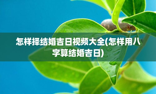 怎样择结婚吉日视频大全(怎样用八字算结婚吉日)