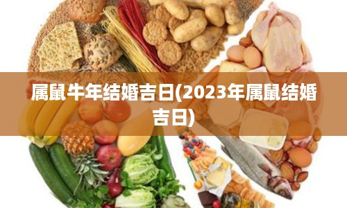 属鼠牛年结婚吉日(2023年属鼠结婚吉日)