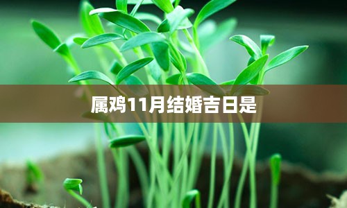 属鸡11月结婚吉日是