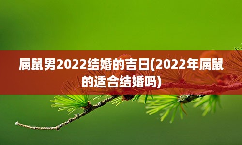 属鼠男2022结婚的吉日(2022年属鼠的适合结婚吗)