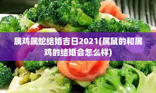 属鸡属蛇结婚吉日2021(属鼠的和属鸡的结婚会怎么样)