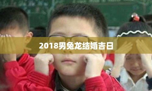 2018男兔龙结婚吉日