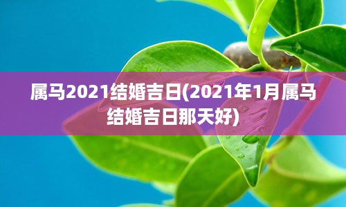 属马2021结婚吉日(2021年1月属马结婚吉日那天好)