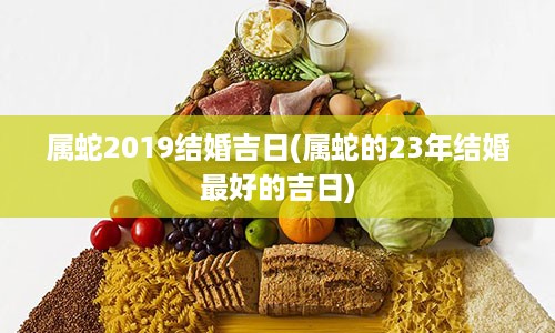 属蛇2019结婚吉日(属蛇的23年结婚最好的吉日)