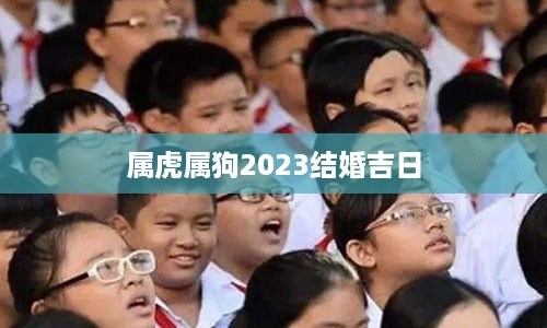 属虎属狗2023结婚吉日