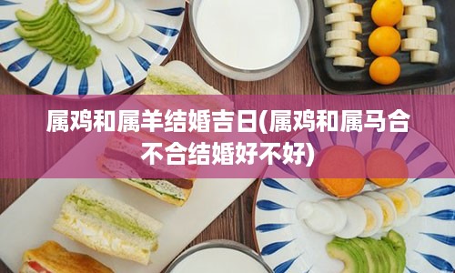 属鸡和属羊结婚吉日(属鸡和属马合不合结婚好不好)