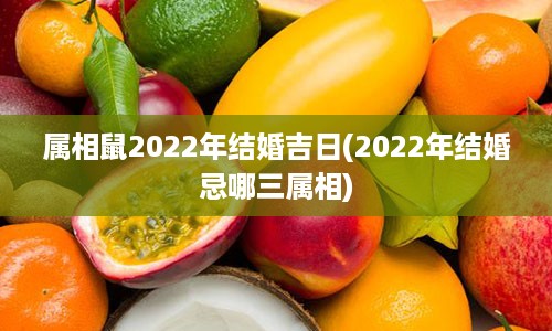 属相鼠2022年结婚吉日(2022年结婚忌哪三属相)