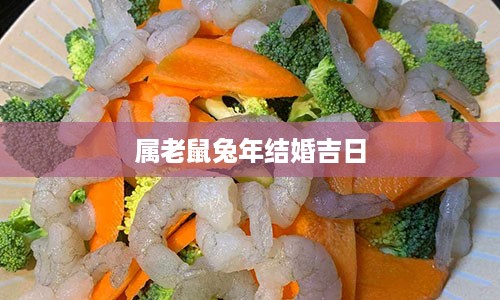 属老鼠兔年结婚吉日