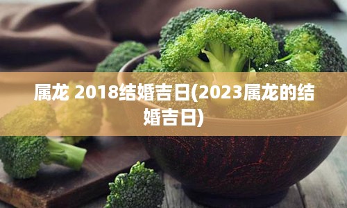 属龙 2018结婚吉日(2023属龙的结婚吉日)