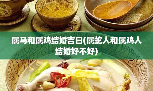 属马和属鸡结婚吉日(属蛇人和属鸡人结婚好不好)