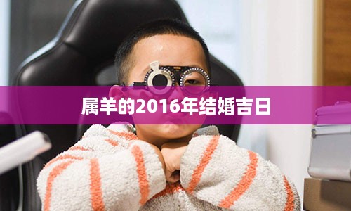 属羊的2016年结婚吉日