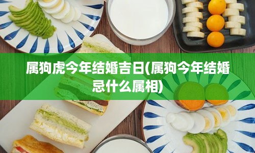 属狗虎今年结婚吉日(属狗今年结婚忌什么属相)