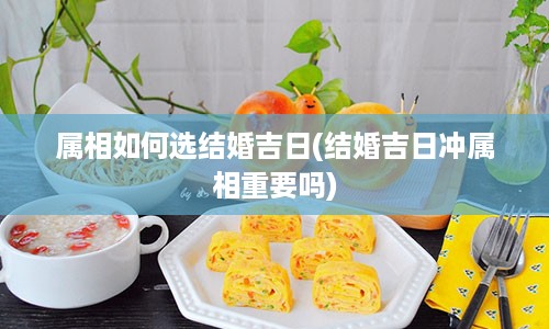 属相如何选结婚吉日(结婚吉日冲属相重要吗)