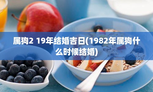 属狗2 19年结婚吉日(1982年属狗什么时候结婚)