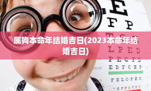 属狗本命年结婚吉日(2023本命年结婚吉日)