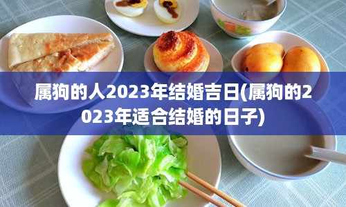 属狗的人2023年结婚吉日(属狗的2023年适合结婚的日子)