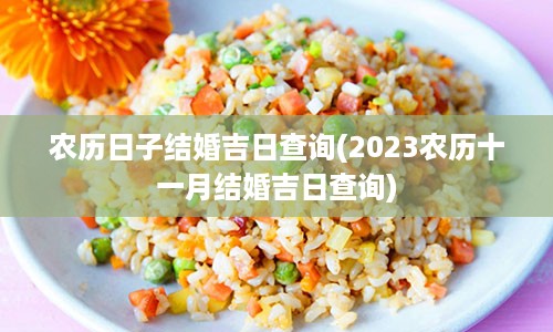 农历日子结婚吉日查询(2023农历十一月结婚吉日查询)