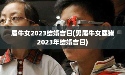 属牛女2023结婚吉日(男属牛女属猪2023年结婚吉日)