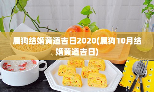 属狗结婚黄道吉日2020(属狗10月结婚黄道吉日)