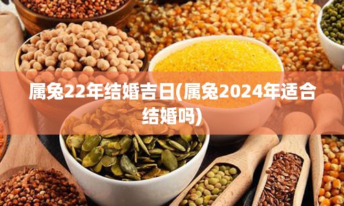 属兔22年结婚吉日(属兔2024年适合结婚吗)