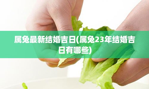 属兔最新结婚吉日(属兔23年结婚吉日有哪些)