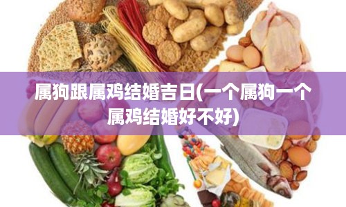 属狗跟属鸡结婚吉日(一个属狗一个属鸡结婚好不好)