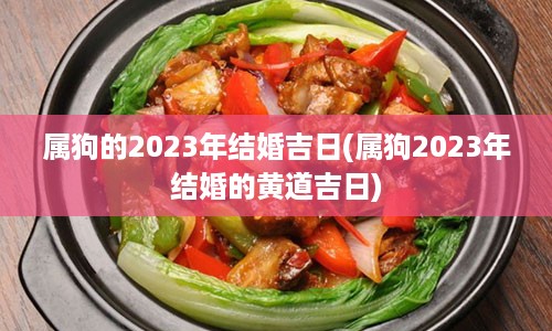 属狗的2023年结婚吉日(属狗2023年结婚的黄道吉日)