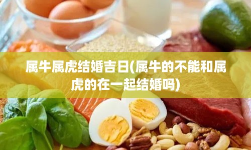 属牛属虎结婚吉日(属牛的不能和属虎的在一起结婚吗)