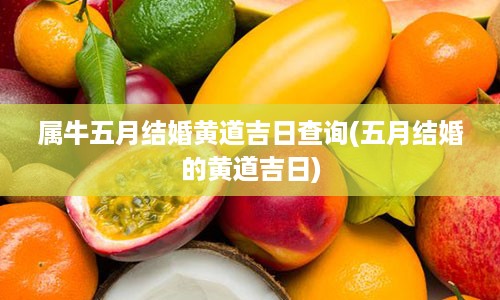 属牛五月结婚黄道吉日查询(五月结婚的黄道吉日)