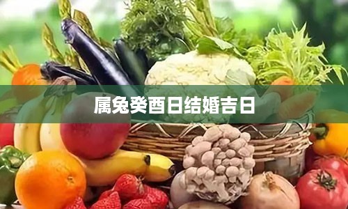 属兔癸酉日结婚吉日