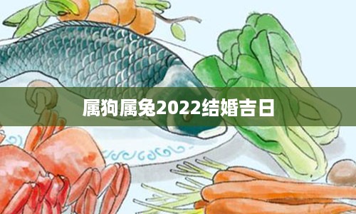 属狗属兔2022结婚吉日