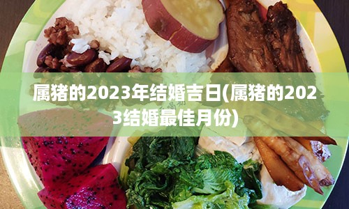 属猪的2023年结婚吉日(属猪的2023结婚最佳月份)