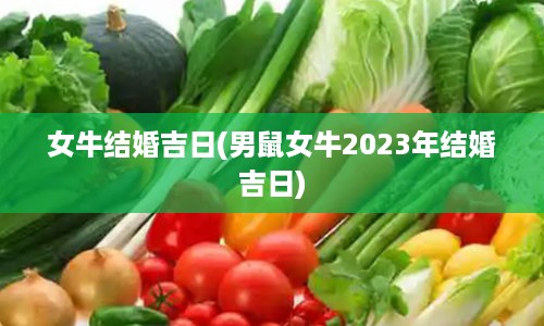 女牛结婚吉日(男鼠女牛2023年结婚吉日)