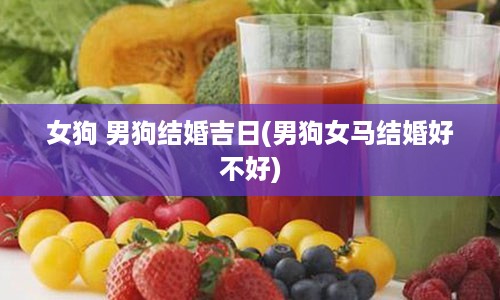 女狗 男狗结婚吉日(男狗女马结婚好不好)