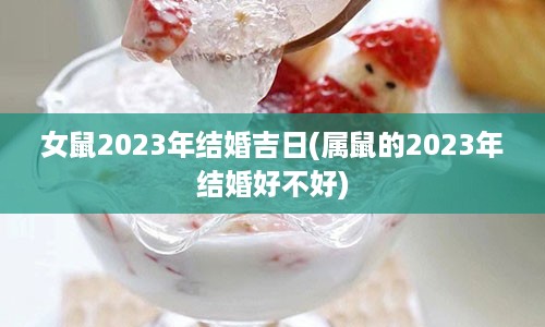 女鼠2023年结婚吉日(属鼠的2023年结婚好不好)