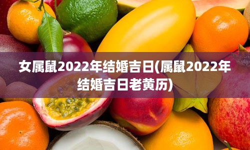 女属鼠2022年结婚吉日(属鼠2022年结婚吉日老黄历)