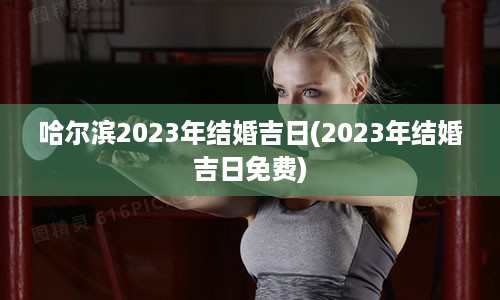 哈尔滨2023年结婚吉日(2023年结婚吉日免费)