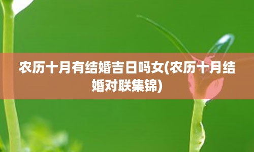 农历十月有结婚吉日吗女(农历十月结婚对联集锦)