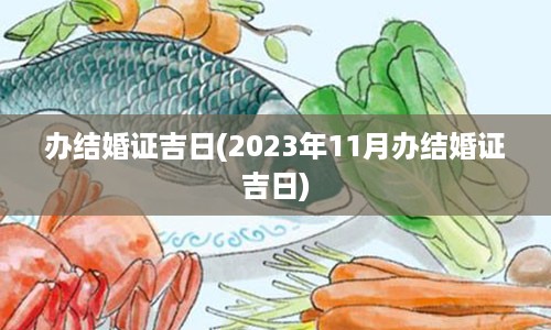 办结婚证吉日(2023年11月办结婚证吉日)