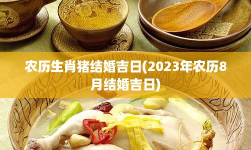 农历生肖猪结婚吉日(2023年农历8月结婚吉日)