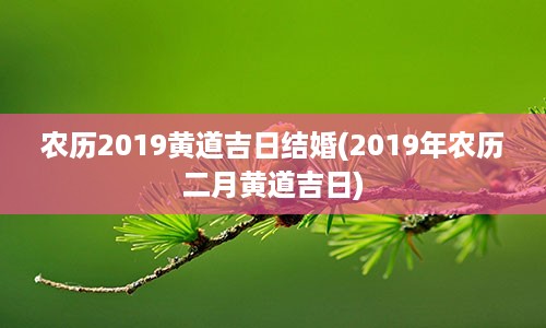 农历2019黄道吉日结婚(2019年农历二月黄道吉日)