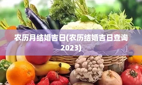 农历月结婚吉日(农历结婚吉日查询2023)